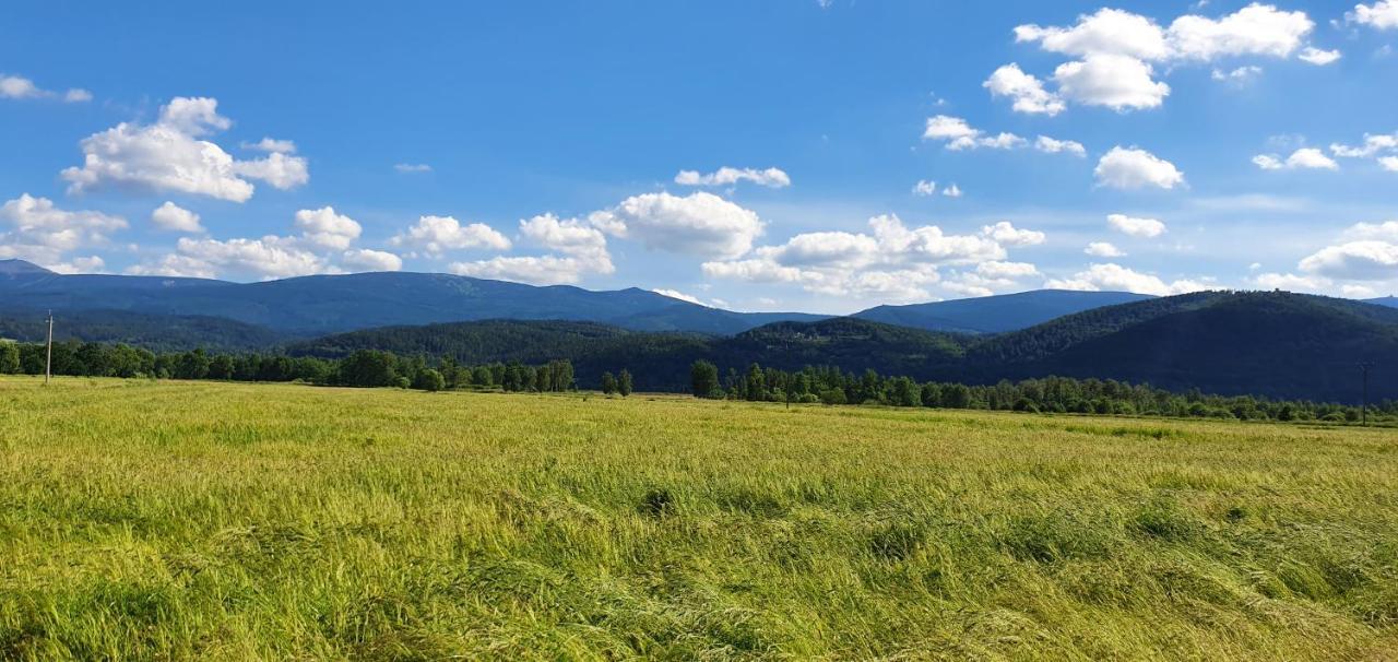 Apartament Wita Stwosza Jelenia Góra Eksteriør billede